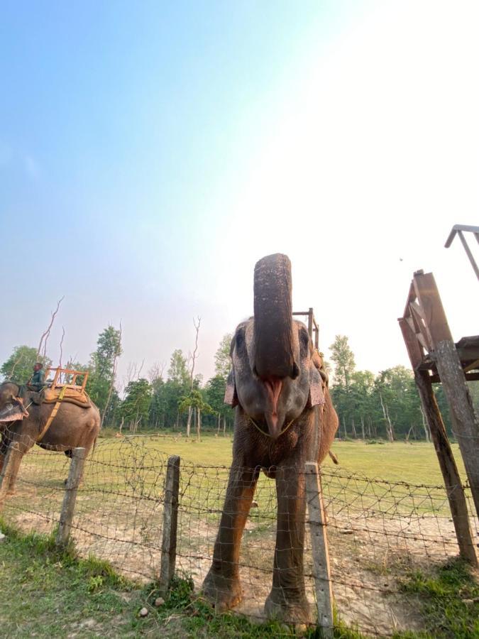 Hotel Shiva'S Dream Sauraha Εξωτερικό φωτογραφία